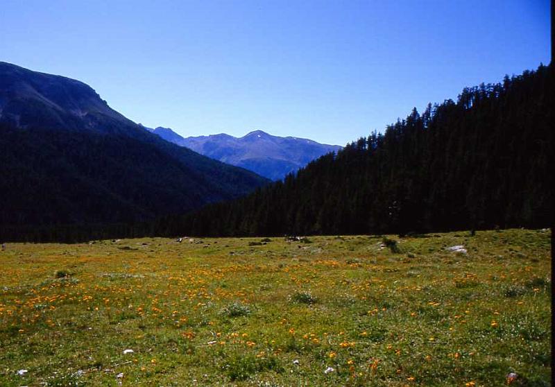 166-Bassa Engadina,Nationalpark,agosto 1987.jpg